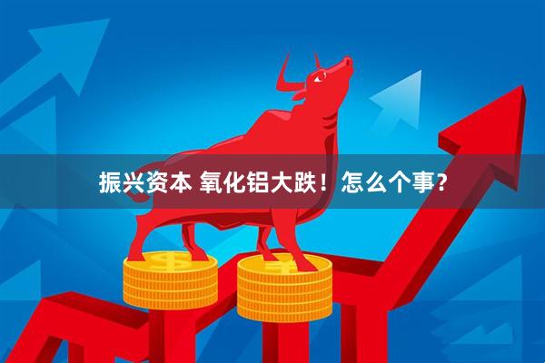 振兴资本 氧化铝大跌！怎么个事？